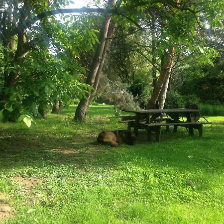 Ekoturystyka Nowina Villa Nowina  Luaran gambar