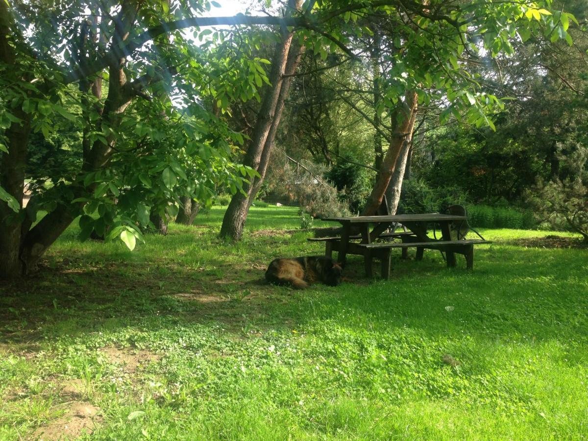 Ekoturystyka Nowina Villa Nowina  Luaran gambar