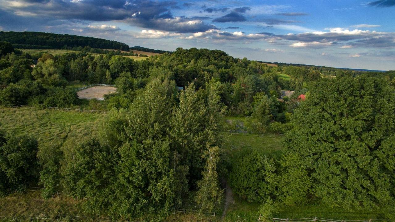 Ekoturystyka Nowina Villa Nowina  Luaran gambar
